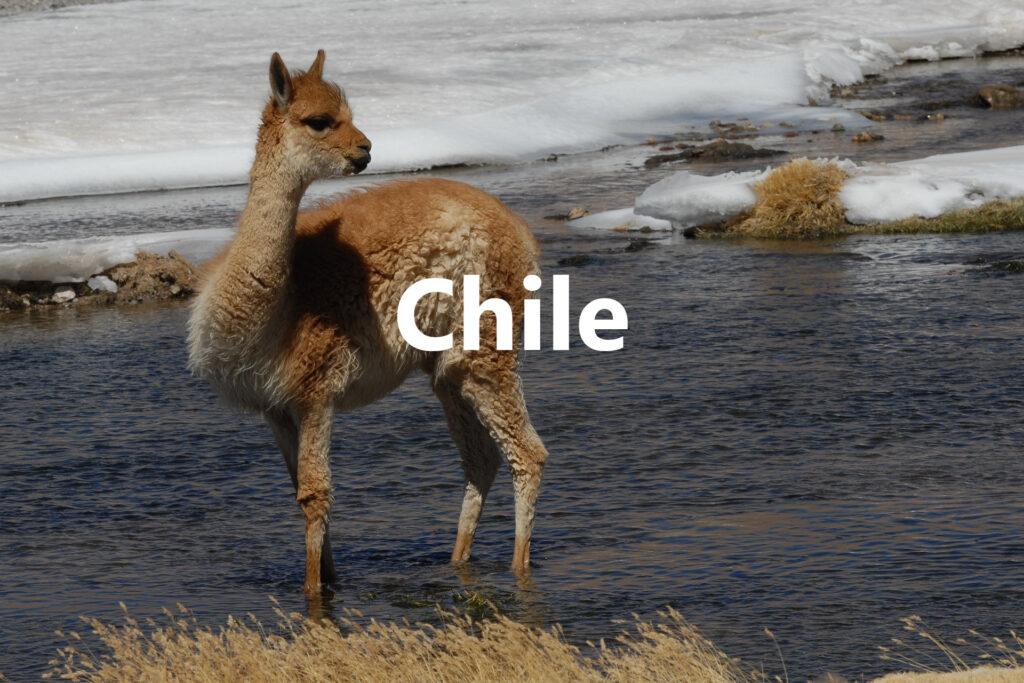 Chile