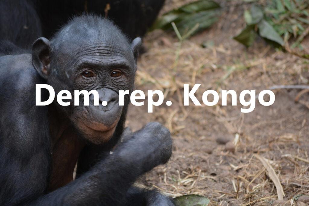 Demokraticka republika Kongo