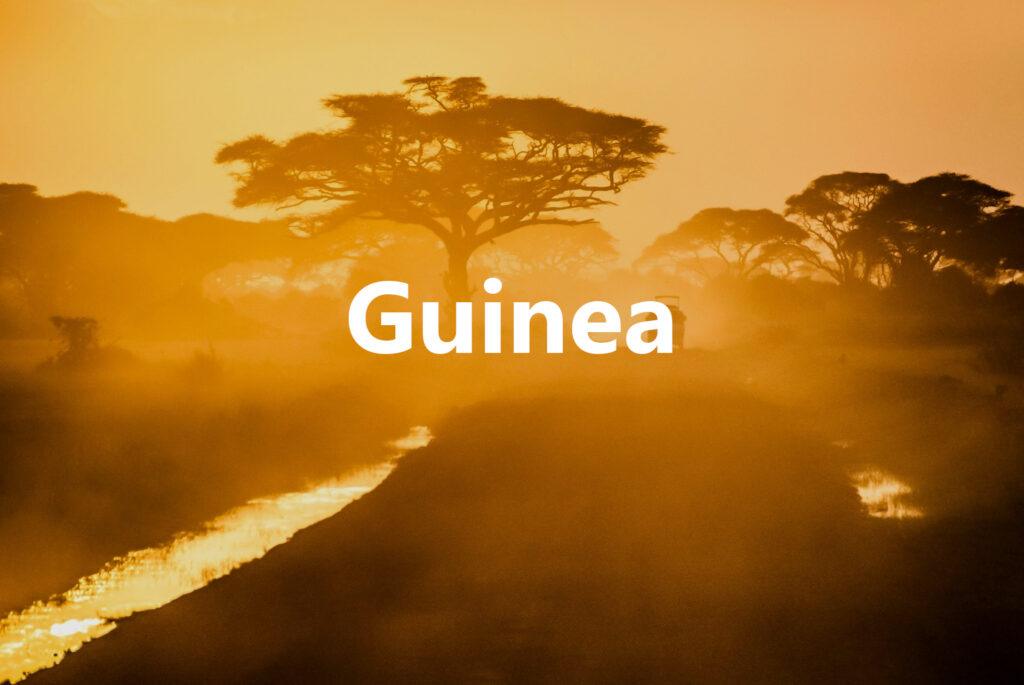 Guinea