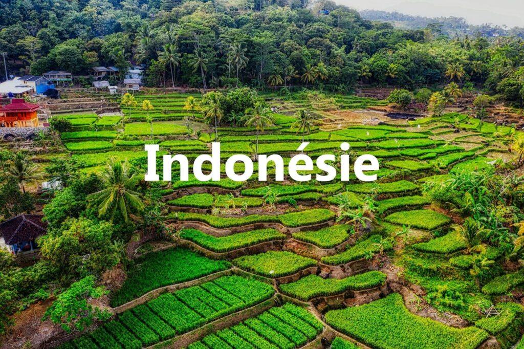 Indonesie