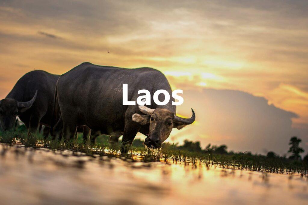 Laos