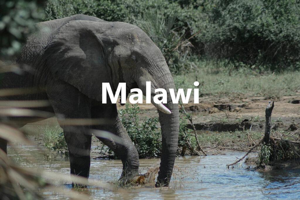 Malawi