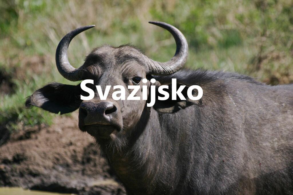 Svazijsko