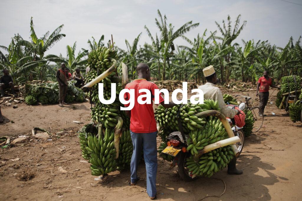 Uganda