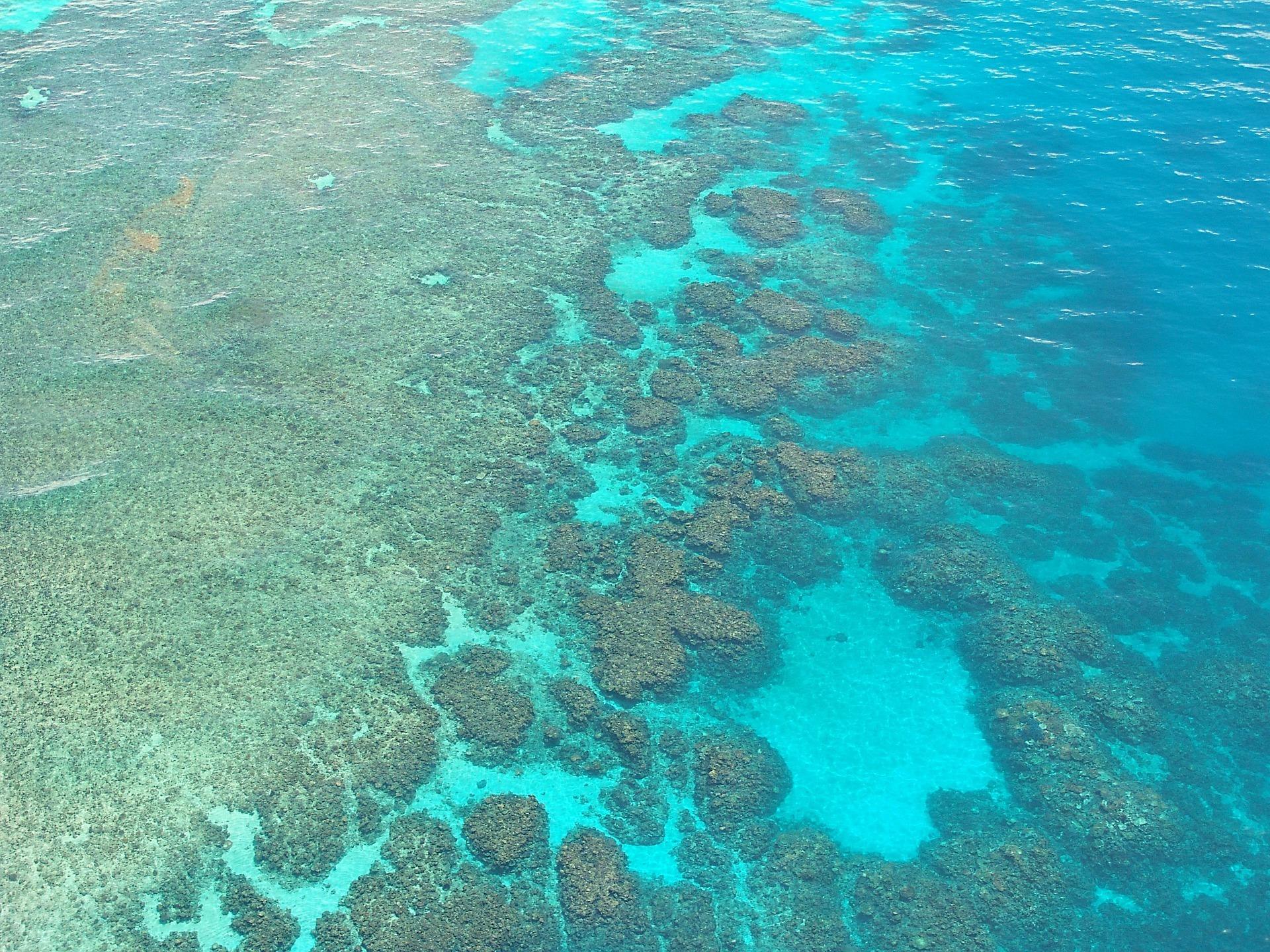 great barrier reef 261727 1920